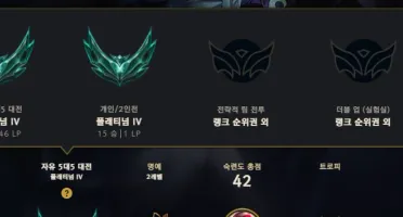 Platina Iv Solo Duo E Flex Com Wr Bizarro