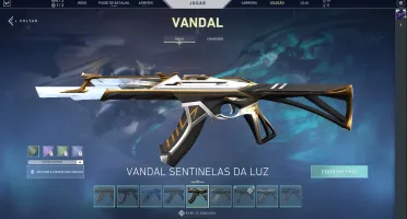 Conta VALORANT - 1.200 reais em skins e passes (lvl 250+)