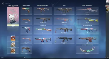 Conta Valorant Com Muitas Skins - 1460 Gastos
