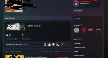 Conta Steam 16 anos Prime cs go 1700 hrs