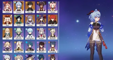Conta genshin impact 11 tier 5
