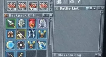VENDO ROYAL PALADIN LEVEL 375