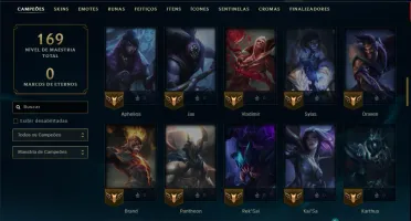 Mestre com 85 Champs e 13 Skins