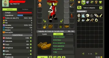 CONTA YOP INT COM SET DOFUS TOUCH BRUTAS