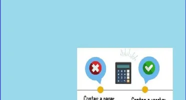 Sistema Contas a pagar e receber pagamento único