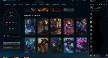 Conta lol LVL 113 com 101 Champions e 28 Skins(BordaPlatina)
