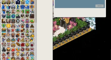 Conta habbo TOP