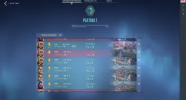 Platina 1 - Operator saqueadora e Vandal glitchpop