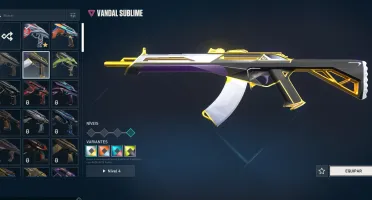 Conta de Valorant com kaarambit e varias skins