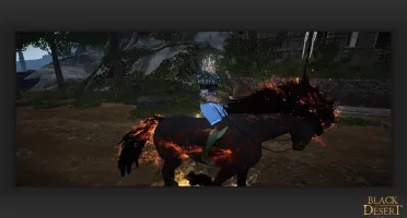 Conta Black Desert Online Bruxa/Nova