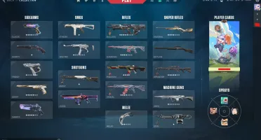 Conta Valorant Varias Skins/ +2K Gastos