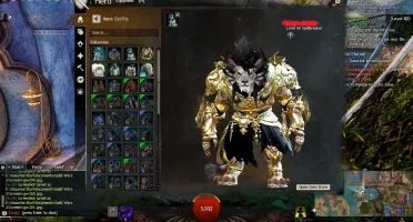 Vendo conta GW2 + Heart Of Thorns + Path Of Fire Deluxe Ed.