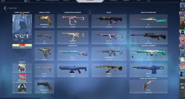 CONTA VALORANT NIVEL 120, PACOTE CHAMPIONS E MAIS SKINS