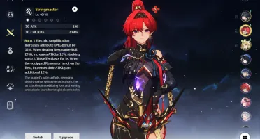 Wuthering Waves Lv20 Yinlin+Arma+Verina+10013 Astrites e+!