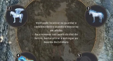 Conta Black Desert SA ENDGAME 830 GS