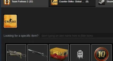 Conta 14 anos com 14k de horas CSGO PRIME