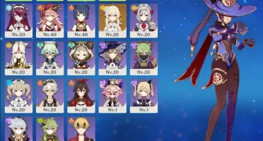 Ayaka, Vent, Mona, espadão 5*(melhor time permafreeze)