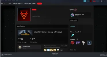Conta Steam Level 19 (com csgo prime)