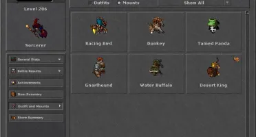 Tibia ms 206