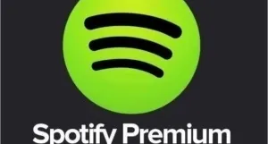 SPOTIFY PREMIUM | CONTA INDIVIDUAL POR 90 DIAS .