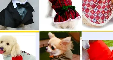 Kit 80 Moldes Roupas Pet Cães E Gatos + Modelagem Cirúrgica