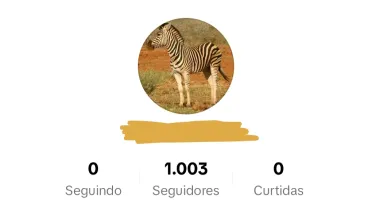 CONTA TIKTOK COM 1000 SEGUIDORES ⭐ PROMOVER ✅
