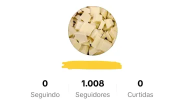 CONTA TIKTOK COM 1000 SEGUIDORES ⭐ PROMOVER ✅