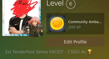 Conta com prime+skins, lvl 12 GAMERSCLUB sem patente mm