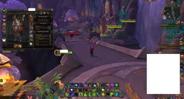 Conta de World Of Warcraft para colecionadores- Dragonflight