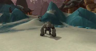 Conta de World Of Warcraft para colecionadores- Dragonflight