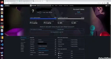 Conta steam com GTA V (Sem ban's)