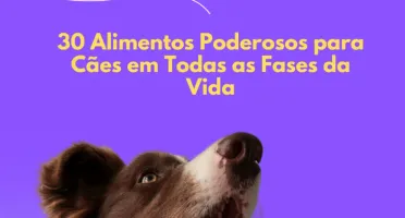 Nutrição Canina
