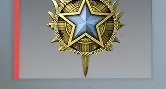 Conta CS Com prime e medalha 2020 Guardião mestre de elite