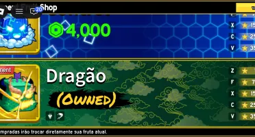 Conta blox fruit rara p prr leia descrição