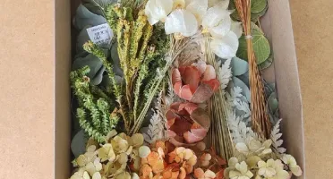Caixa com Flores e Folhagens Desidratadas com 11 espécies