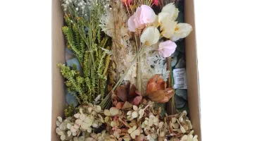 Caixa com Flores e Folhagens Desidratadas com 11 espécies