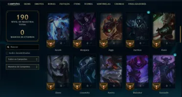 Mestre com 65 Champs e 12 Skins