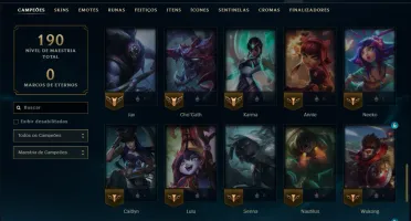 Mestre com 65 Champs e 12 Skins