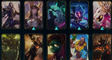 conta plat 4 57 champ 44 skin