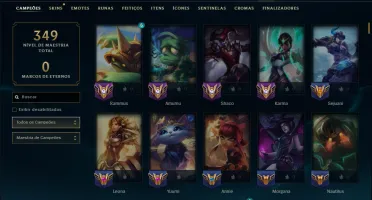 Esmeralda 3 com TODOS os Champs e 34 Skins ( SUP / JG )