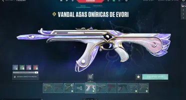 Conta de valorant com muitas skin