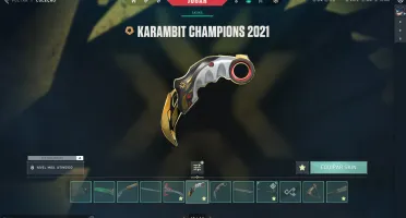 Conta de valorant com muitas skin