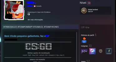 Steam Cs Prime + Rust + Farcry 5 + Outros