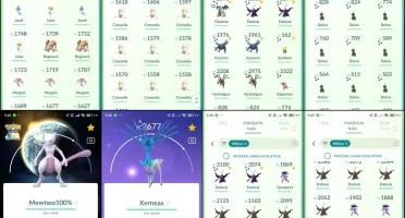Pokémon go | LVL 37 | 109 LENDÁRIOS + 26 shinies C036
