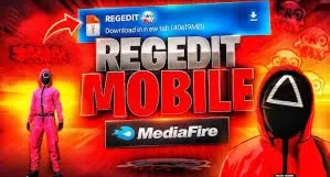 Regedit ff, 95% hs atualização 31/09/25