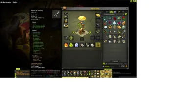 CONTA DOFUS CRA 200 C SET OVER. CUSTOMIZAÇÃO INTELIGENTE
