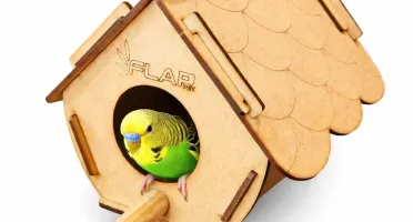 Casinha para Pássaros - Flap Pet
