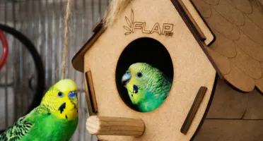 Casinha para Pássaros - Flap Pet