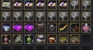 conta bdo