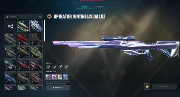 conta de valorant com itens raros champios barata